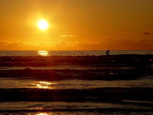 Sennen Surfer